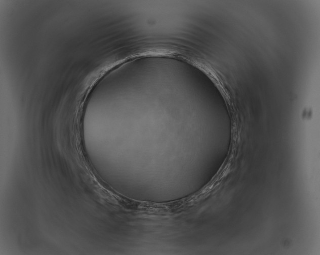 X0000096690337200802051352