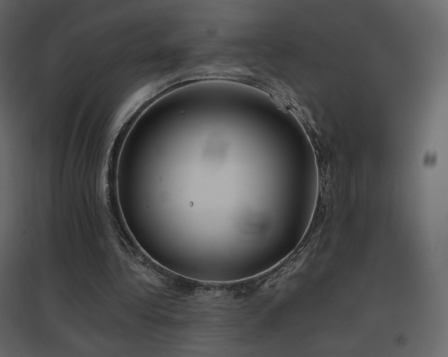 X0000096690340200802051352