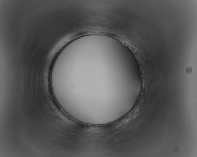 X0000096690341200802051352