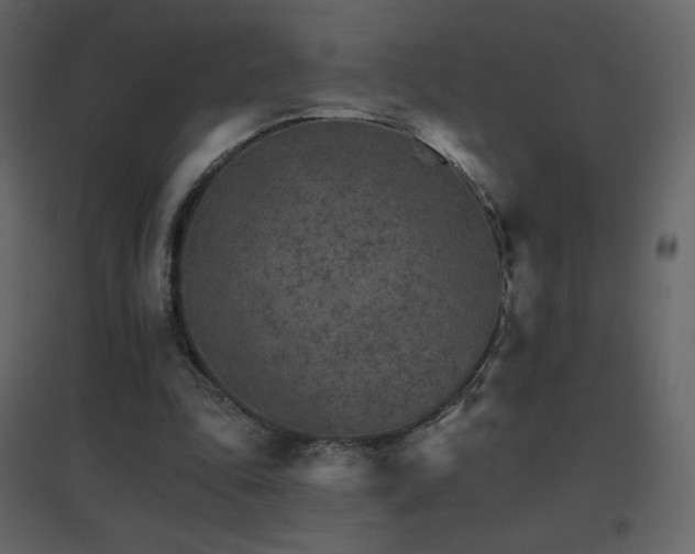 X0000096690343200802051352