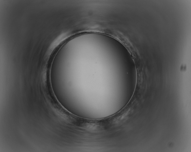 X0000096690344200802051352