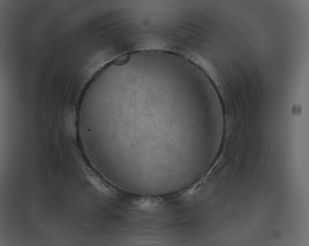 X0000096690345200802051352