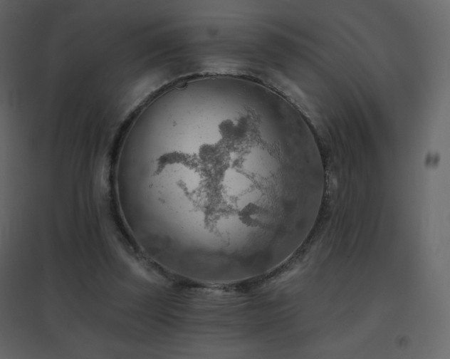 X0000096690347200802051352