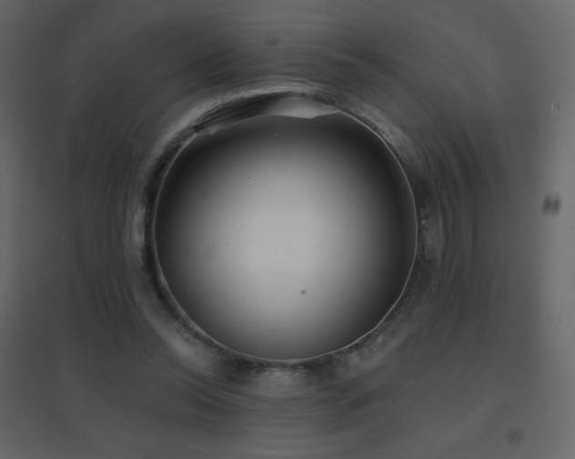 X0000096690350200802051352