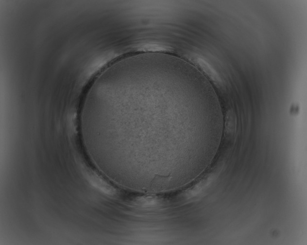 X0000096690351200802051352