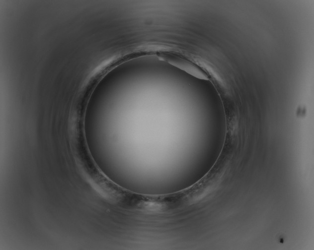 X0000096690352200802051352