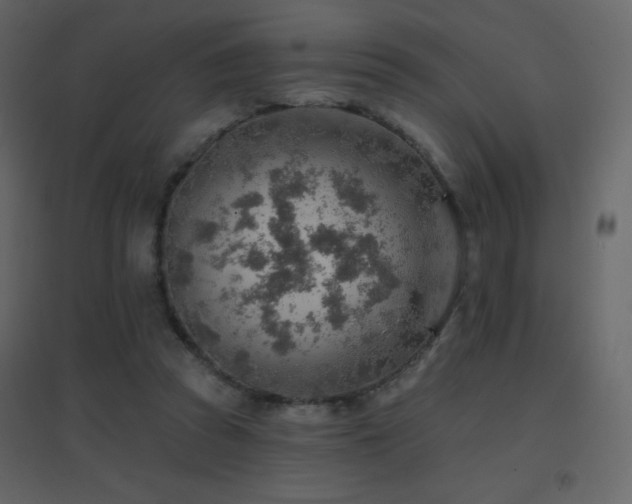 X0000096690353200802051352