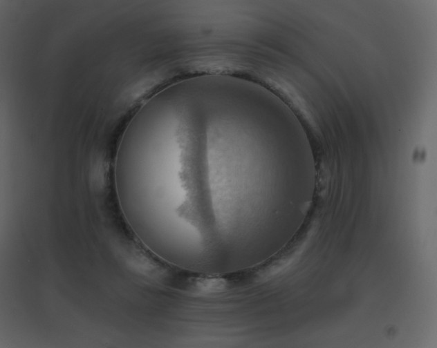 X0000096690355200802051352