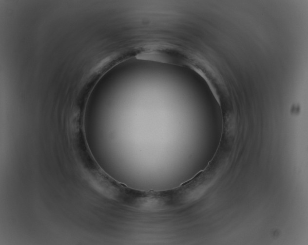 X0000096690356200802051352