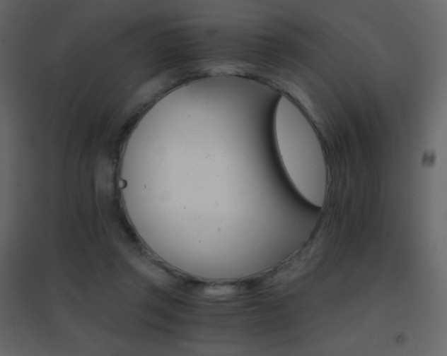 X0000096690357200802051352