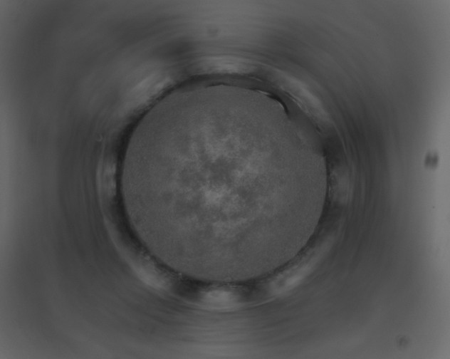 X0000096690358200802051352