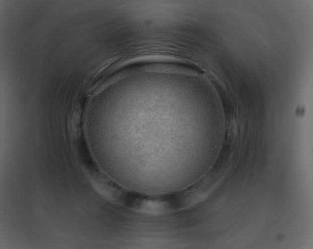 X0000096690360200802051352