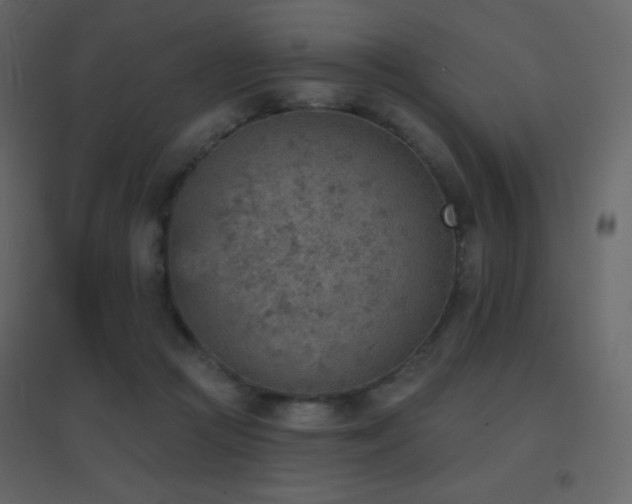 X0000096690361200802051352