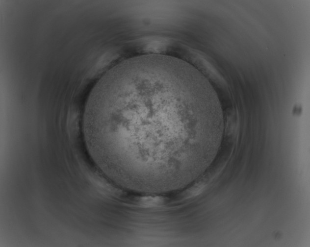 X0000096690363200802051352