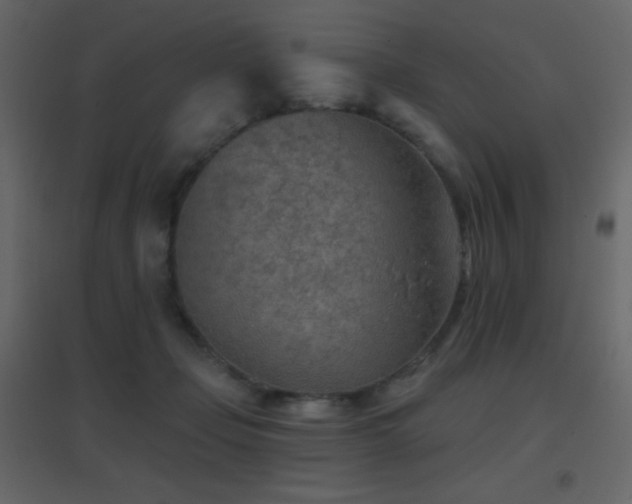 X0000096690365200802051352