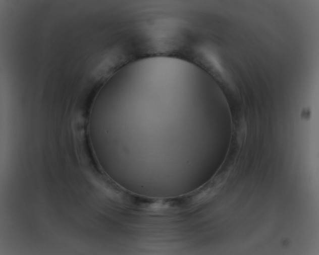 X0000096690366200802051352