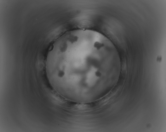 X0000096690367200802051352