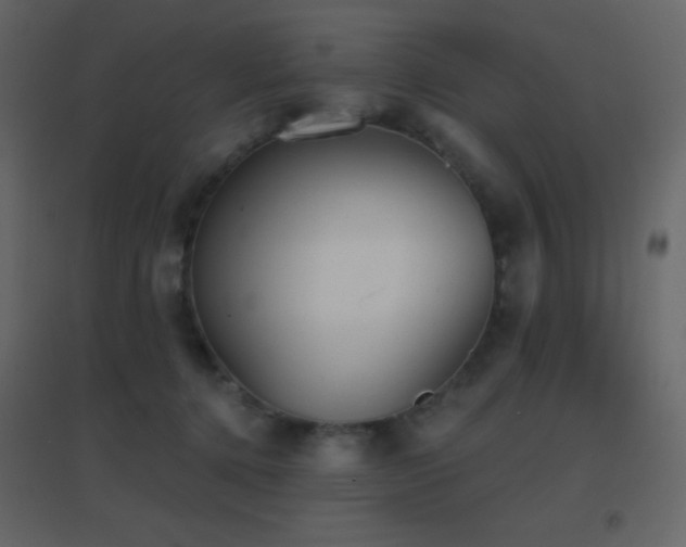 X0000096690368200802051352