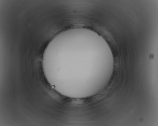 X0000096690369200802051352