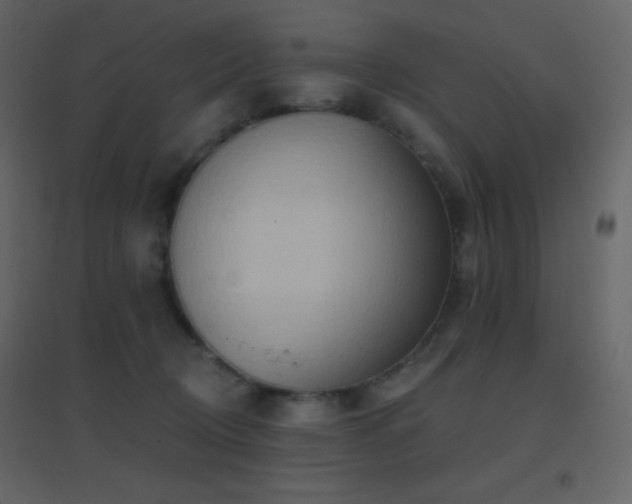 X0000096690370200802051352