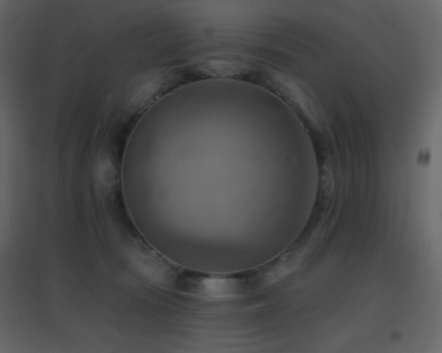 X0000096690371200802051352