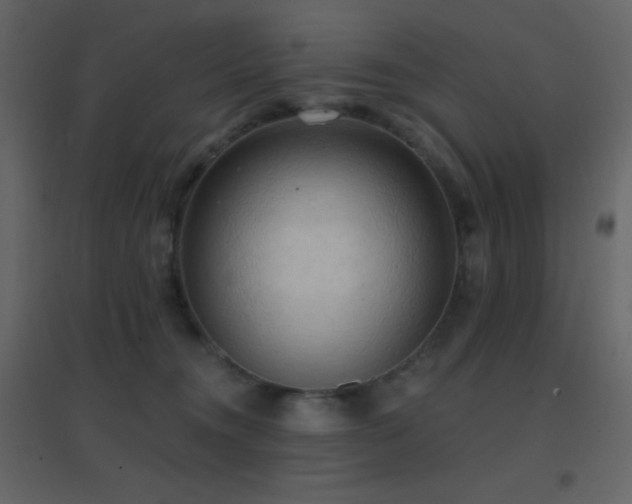 X0000096690372200802051352