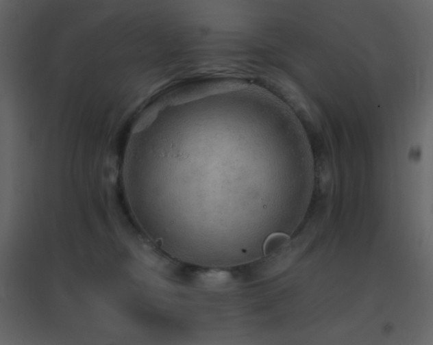 X0000096690374200802051352