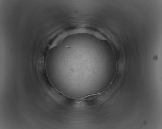 X0000096690376200802051352