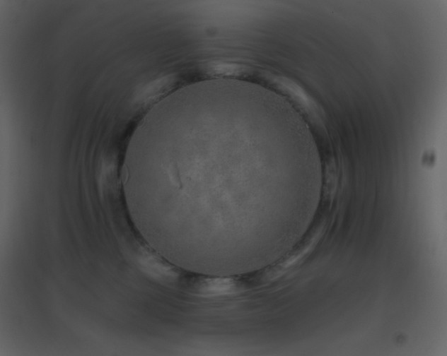 X0000096690377200802051352