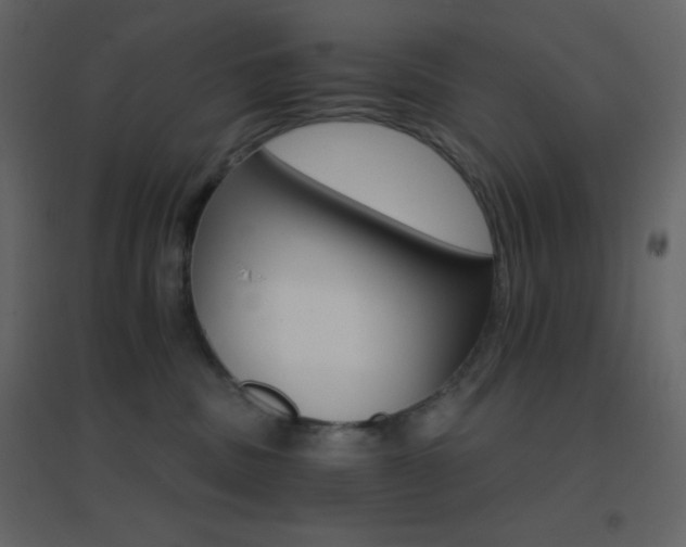 X0000096690379200802051352