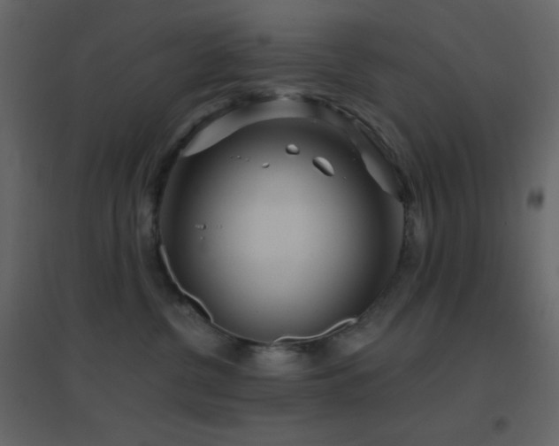 X0000096690380200802051352