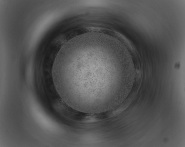 X0000096690381200802051352