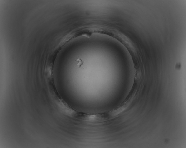 X0000096690382200802051352