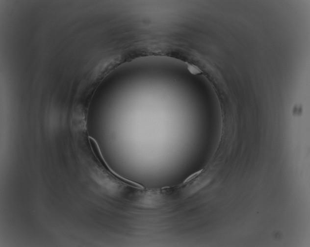 X0000096690384200802051352