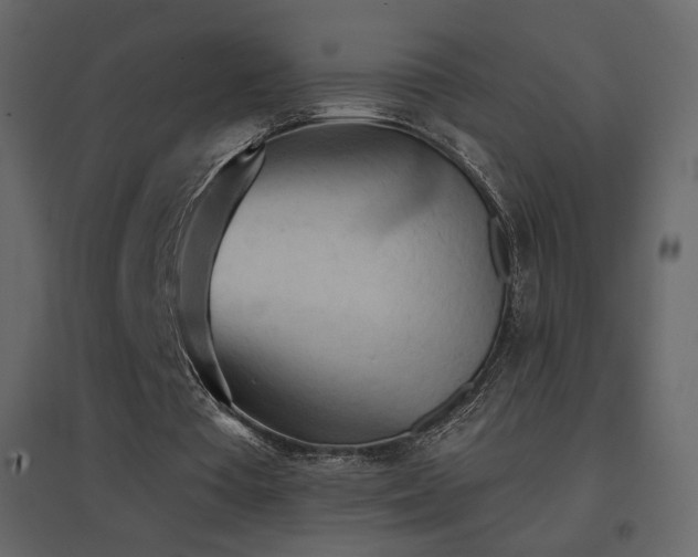 X0000096690385200802051352