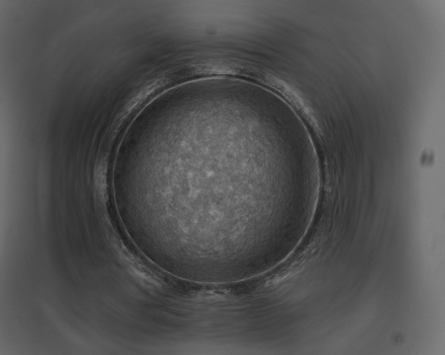 X0000096690386200802051352