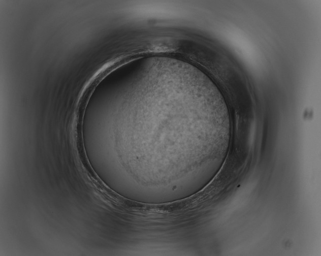 X0000096690387200802051352