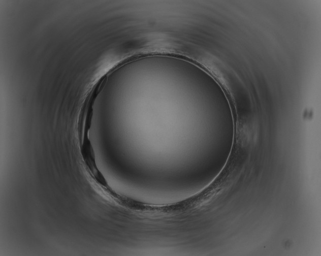 X0000096690389200802051352