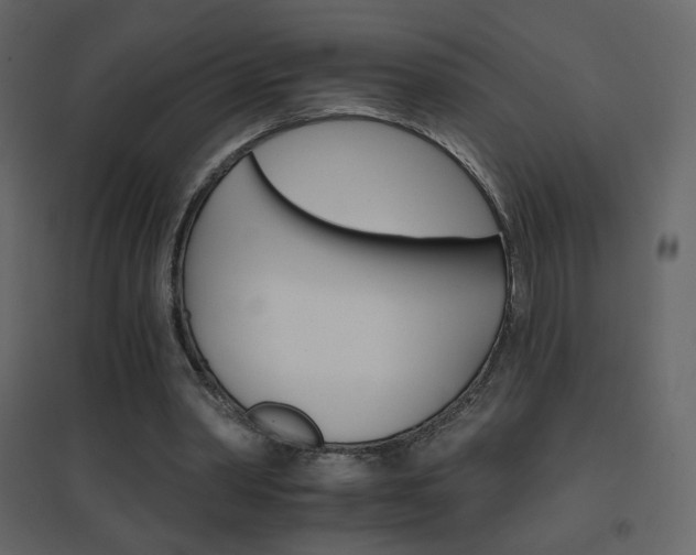 X0000096690390200802051352