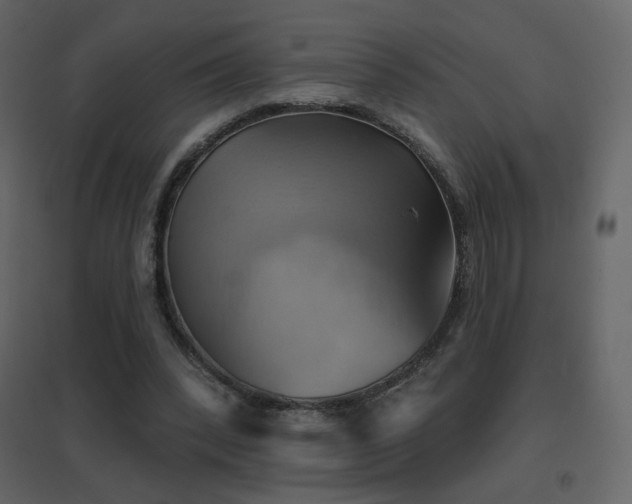 X0000096690392200802051352