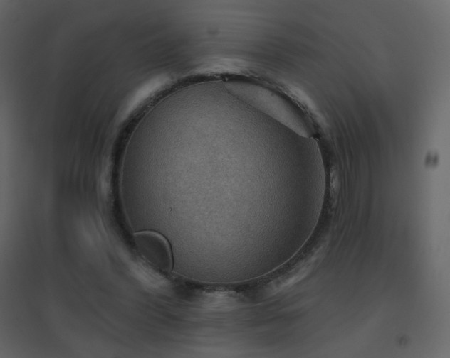 X0000096690396200802051352