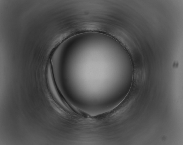 X0000096690397200802051352