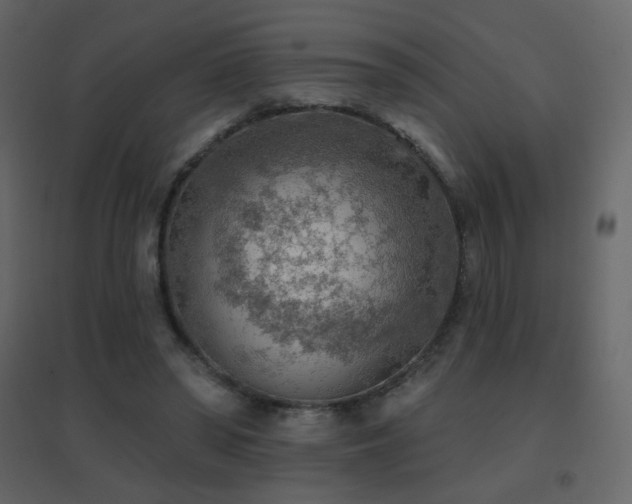 X0000096690398200802051352