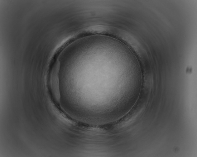 X0000096690399200802051352