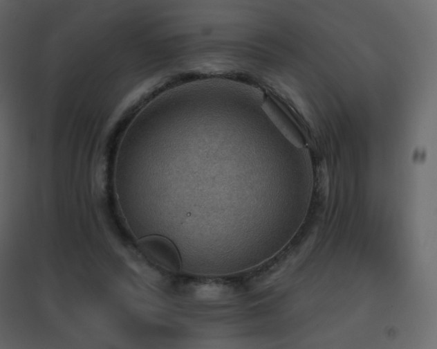 X0000096690400200802051352