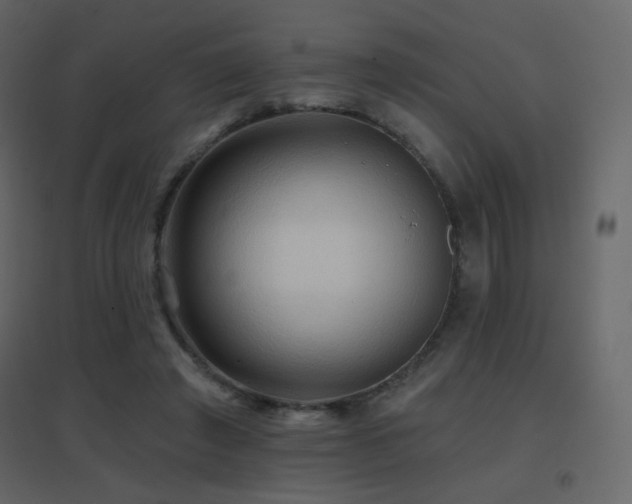 X0000096690401200802051352