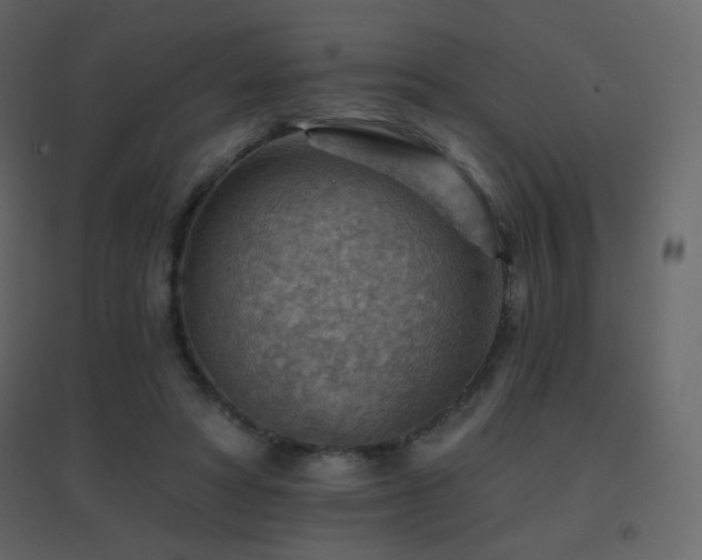 X0000096690402200802051352