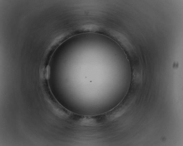 X0000096690403200802051351