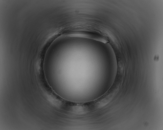 X0000096690404200802051351