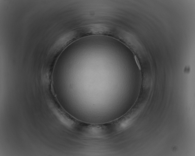 X0000096690405200802051351